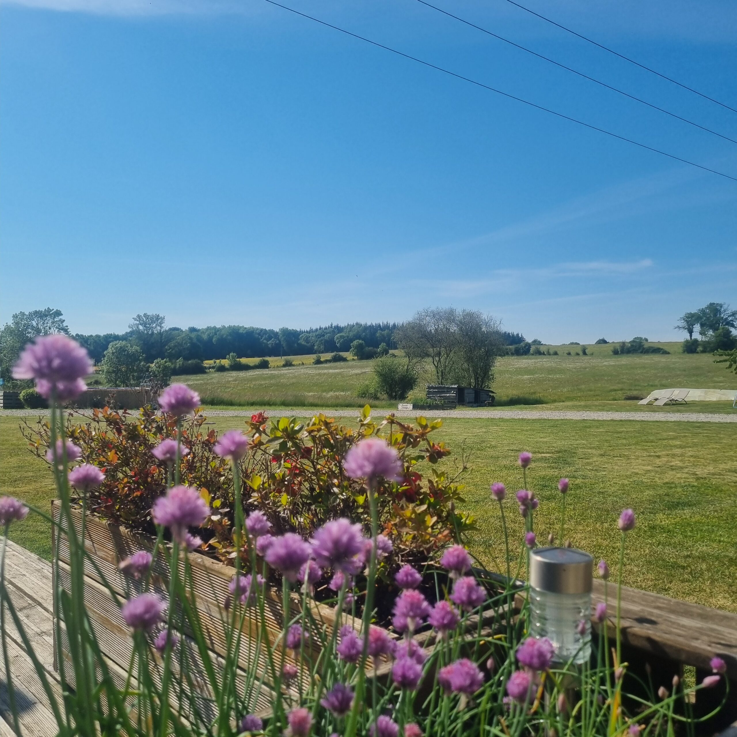 View from Jackie’s gîte across the countryside